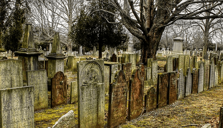 Principales causas de muertes en España