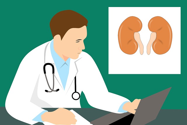 La enfermedad renal, 8va causa de muerte en España