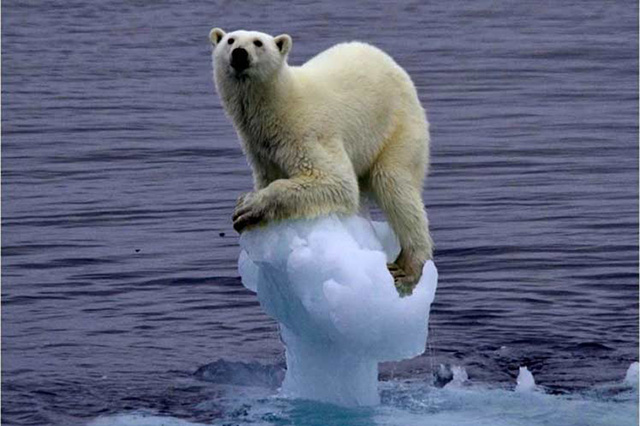 Mortalidad infantil y desnutrición son impactadas por la crisis climática