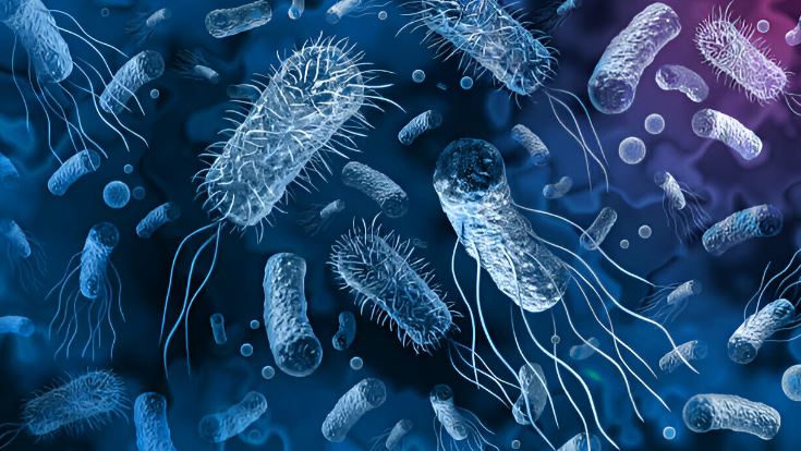 resistencia bacteriana